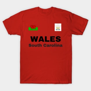 South Carolina Wales Ancestry T-Shirt